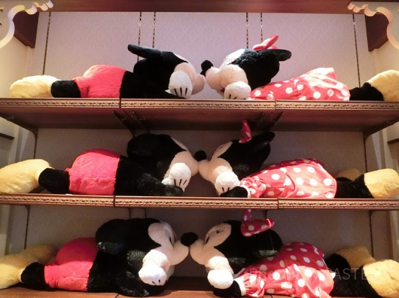 【Dオタの1日】ディズニーオタクの朝・昼・夜の過ごし方まとめ！2時間待ちは当たり前？！