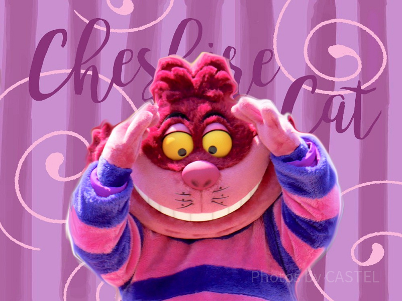 【ディズニー】チェシャ猫グッズ2選！ディズニーランド＆シーで買える『ふしぎの国のアリス』お土産！