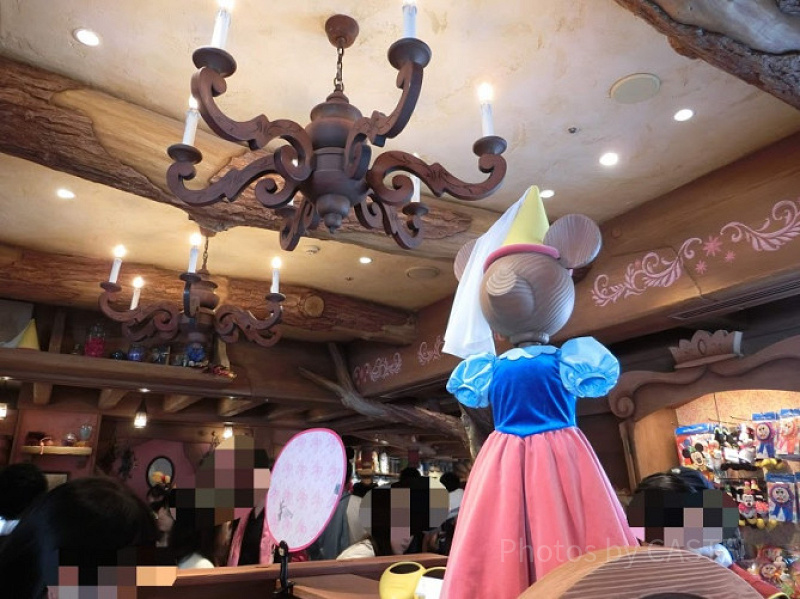 赤ちゃんとディズニー】ベビーカー＆ベビーセンター情報！おすすめ