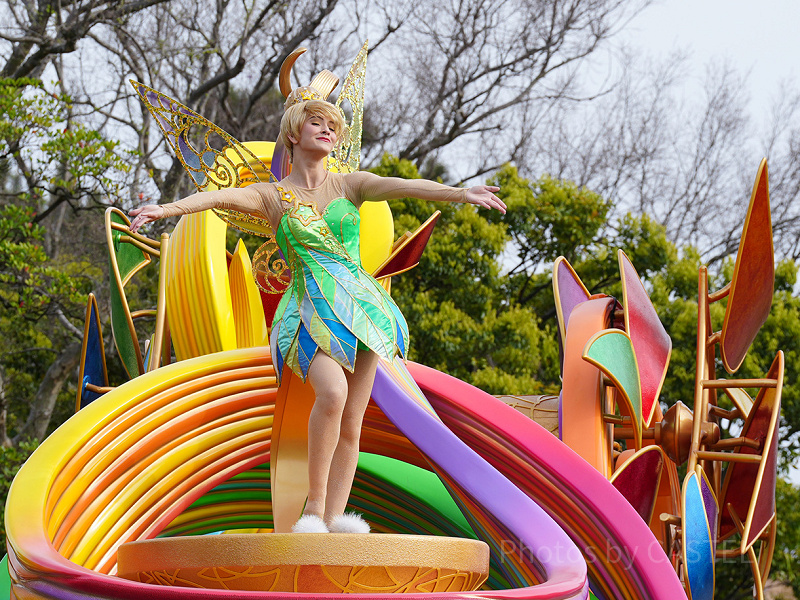 TDL】ハーモニーインカラー鑑賞場所ガイド！おすすめの鑑賞スポットは