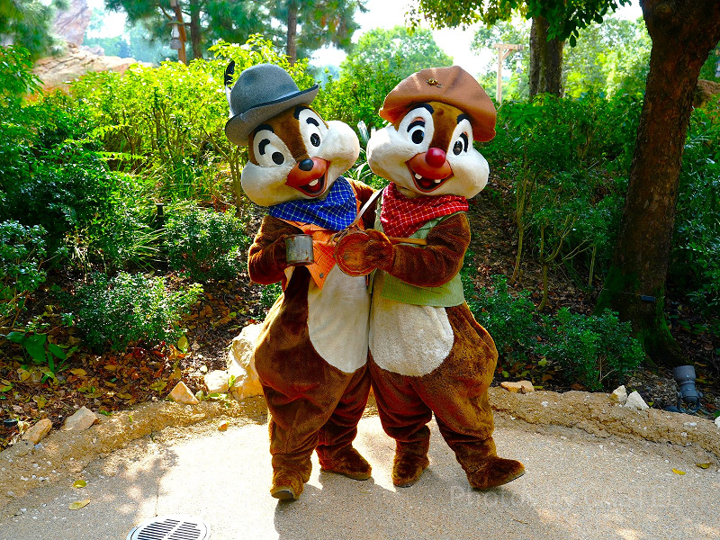 【2026】香港ディズニーグリーティング完全攻略！場所、時間、会えるキャラクターまとめ！リーナベルやマーベルも！