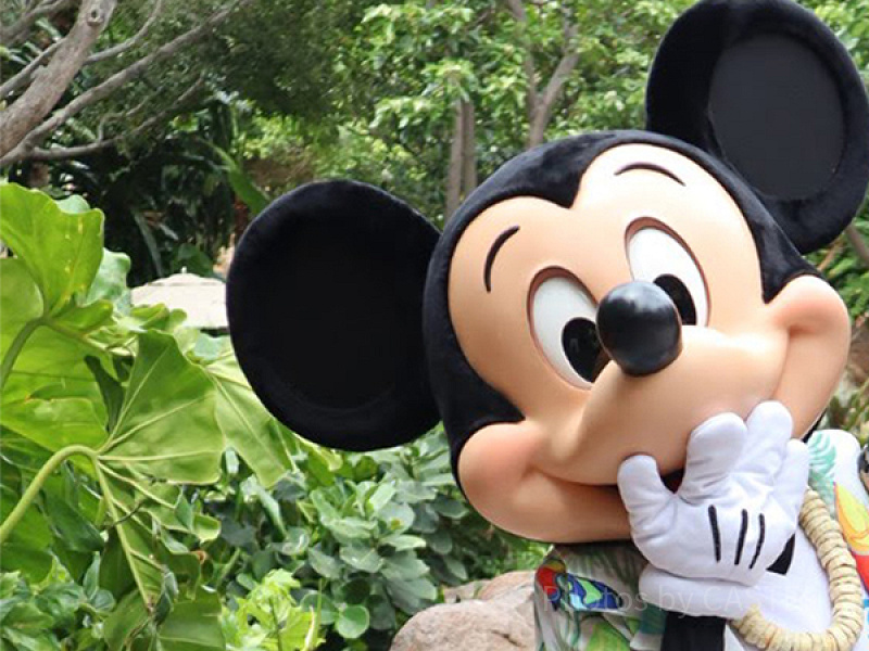 ディズニー ミッキーマウス ディズニークイズ】ミッキー編20問！初級・中級・上級別！全問正解を