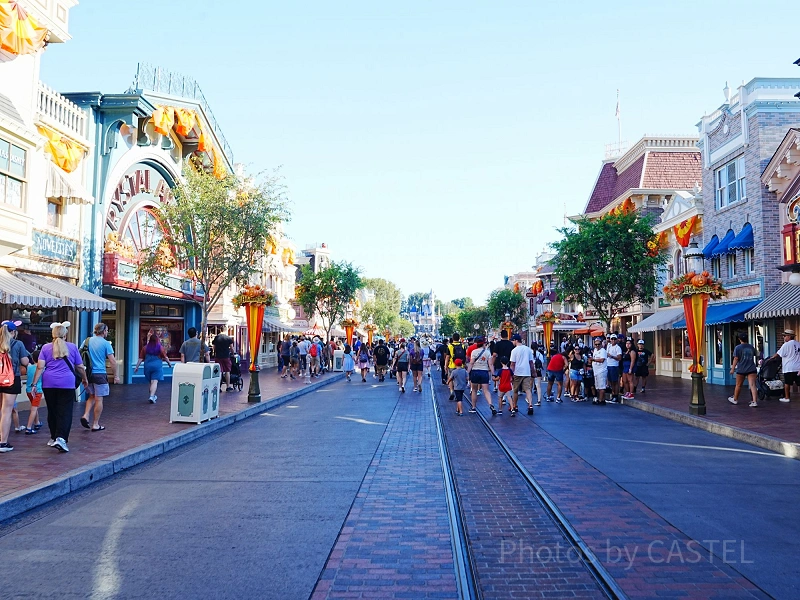 2026】アナハイムディズニーランドパークおすすめスポットまとめ