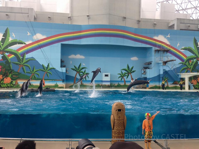 八景島シーパラダイスの水族館はジンベエザメに注目！エリア＆開催