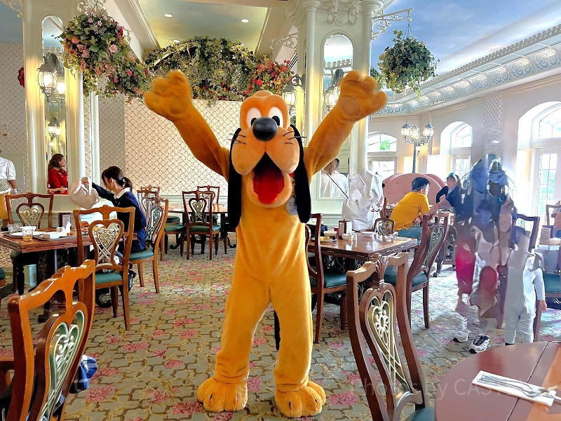 hong-kong-enchanted-garden-