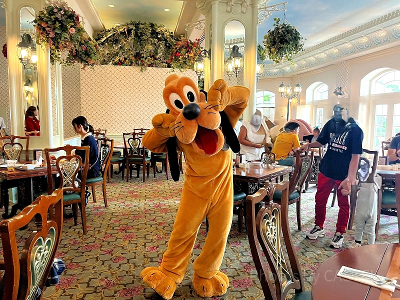 体験談】香港ディズニー「エンチャンテッドガーデンレストラン」を攻略