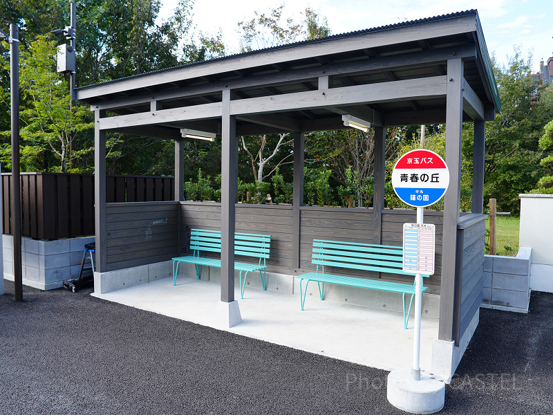 【初来場者必見】名古屋からジブリパークのアクセス方法を解説！バス・電車・車での行き方まとめ