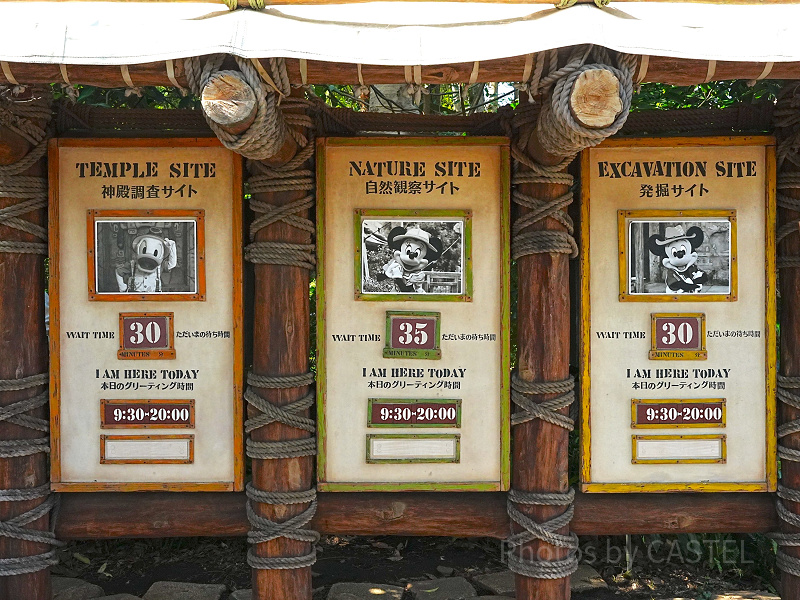 250枚限定】 ディズニー公認「キャンペーントレイル」ミッキーと仲間