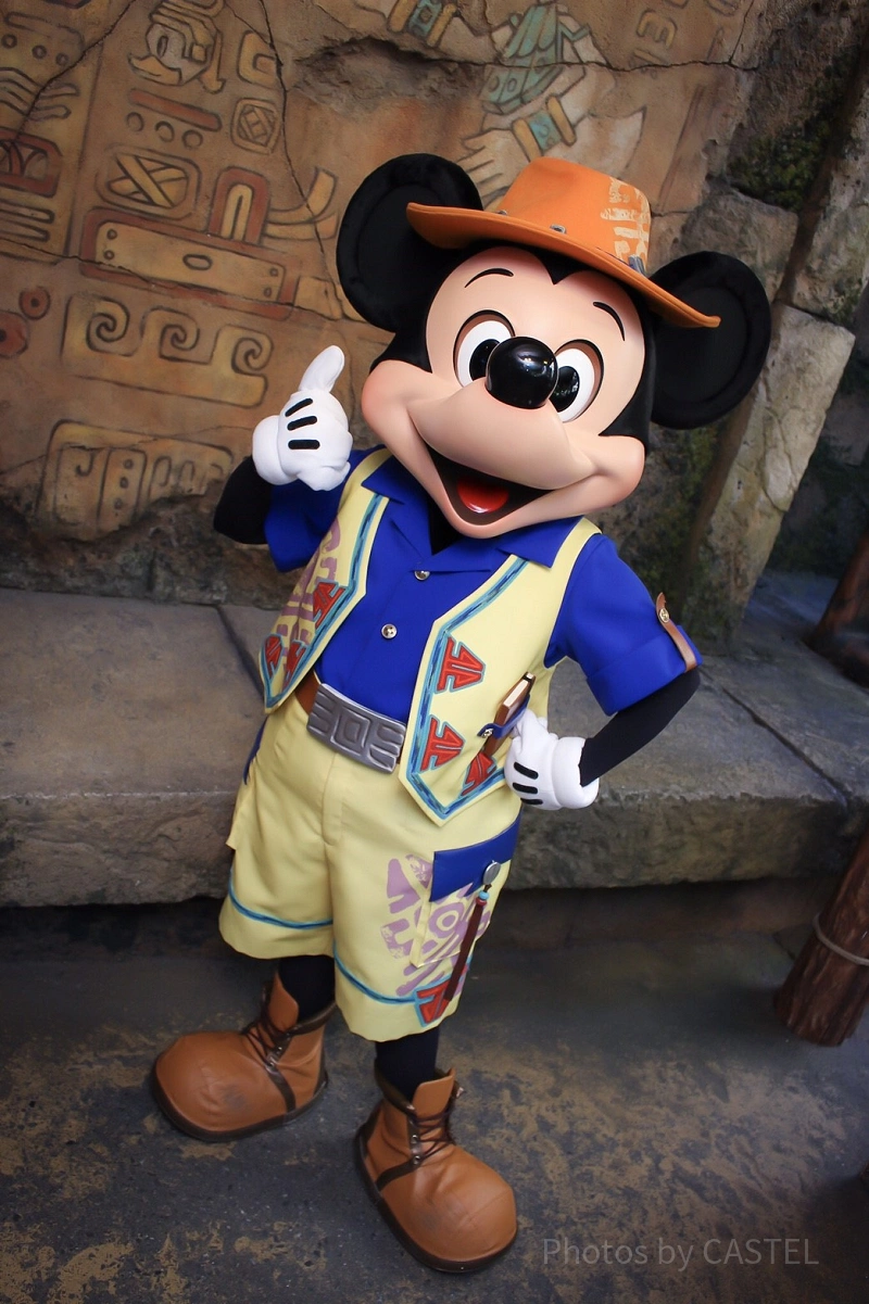 250枚限定】 ディズニー公認「キャンペーントレイル」ミッキーと仲間