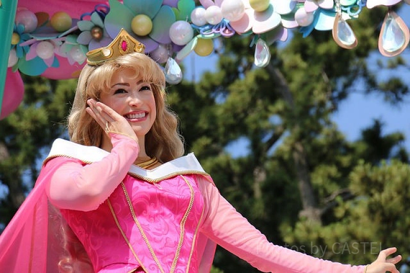 2025 Disney ディズニーストア 眠れる森の美女 エプロン オーロラ姫 2025 Disney ディズニーストア 眠れる森の美女 エプロン オーロラ姫