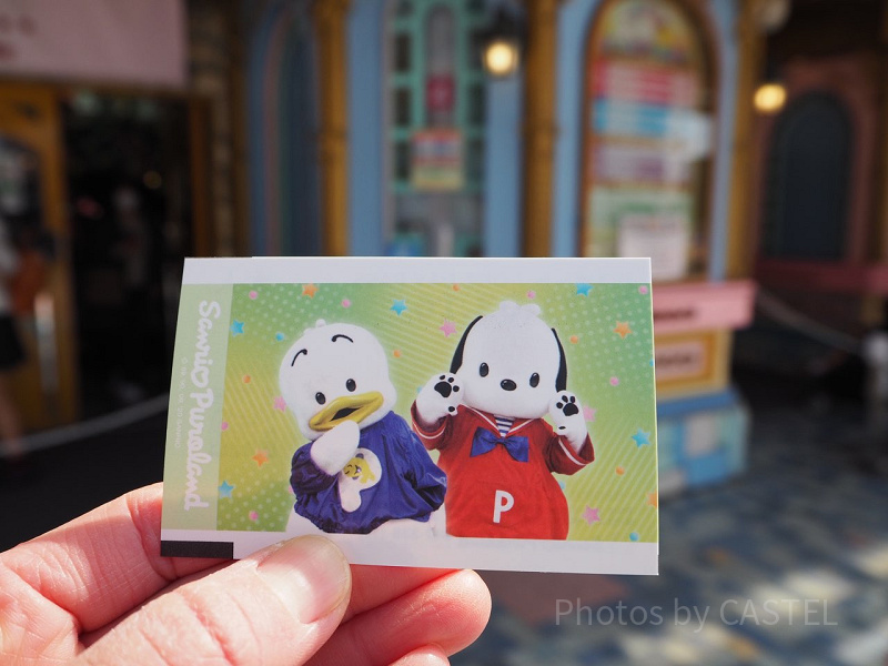 【同梱不可/現状】 キャラ分け ファンシー グッズ サンリオ ポチャッコ まとめ売り ぬいぐるみ タオル 風呂桶 トートバッグ 他 サンリオ ポチャッコ グッズ