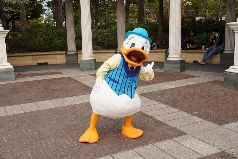 ドナルドダックのプロフィール徹底解説