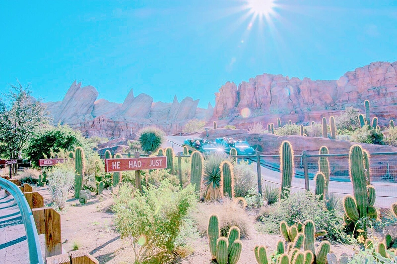 radiator-springs-racers-j30379