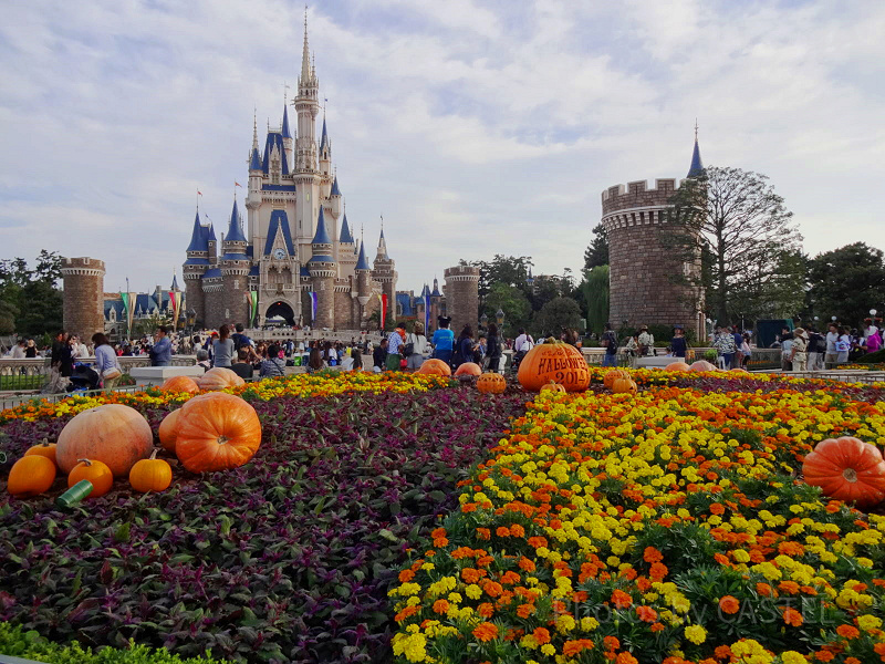 【2025秋】9月のディズニーの服装まとめ！気温＆天気別のおすすめは？コーデ例や持ち物も！