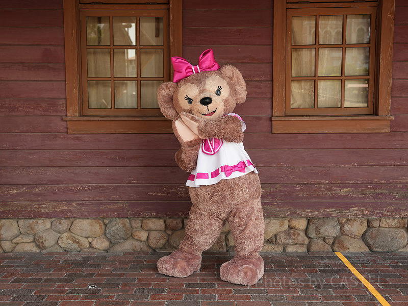 2022年8月〜】シェリーメイとのグリーティング場所がケープコッド