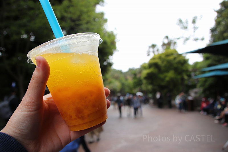 【2025】ディズニーのひんやりドリンク値段＆販売場所まとめ！暑い夏のパークにおすすめ