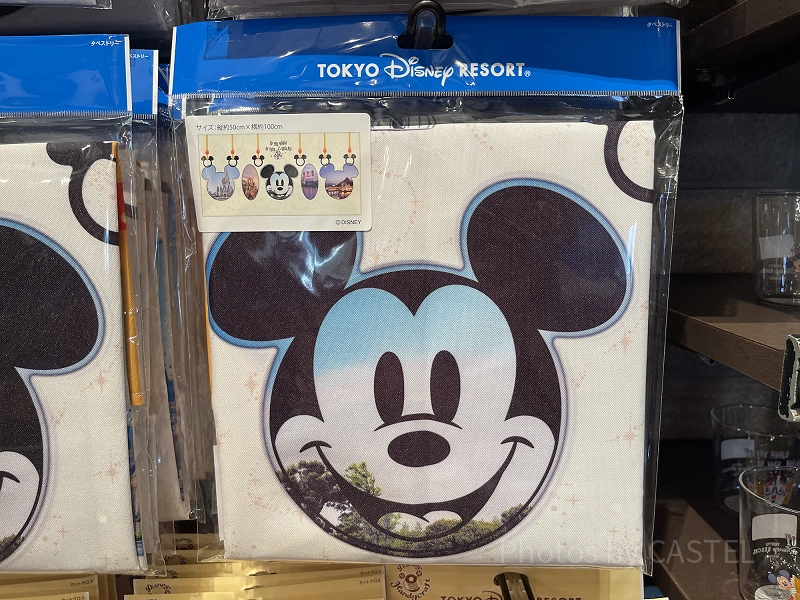 Disney - haru♡様/ディズニー　窓ドア/ふせん/タペストリー/収納グッズ 10/12発売】 ディズニーの窓&ドアデザイングッズまとめ！販売場所