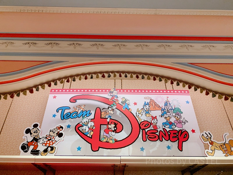 2020】ギフトにもおすすめ！ディズニーラゲッジタグ7選！名入れも可能