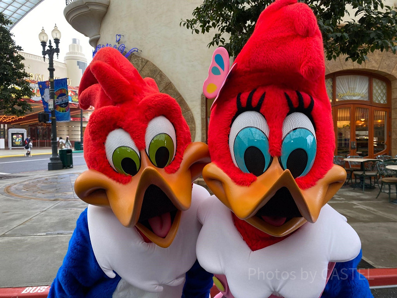 【USJ】キャラクターからサインをもらう方法！もらえるキャラクターは誰？おすすめのペンやサイン帳も紹介