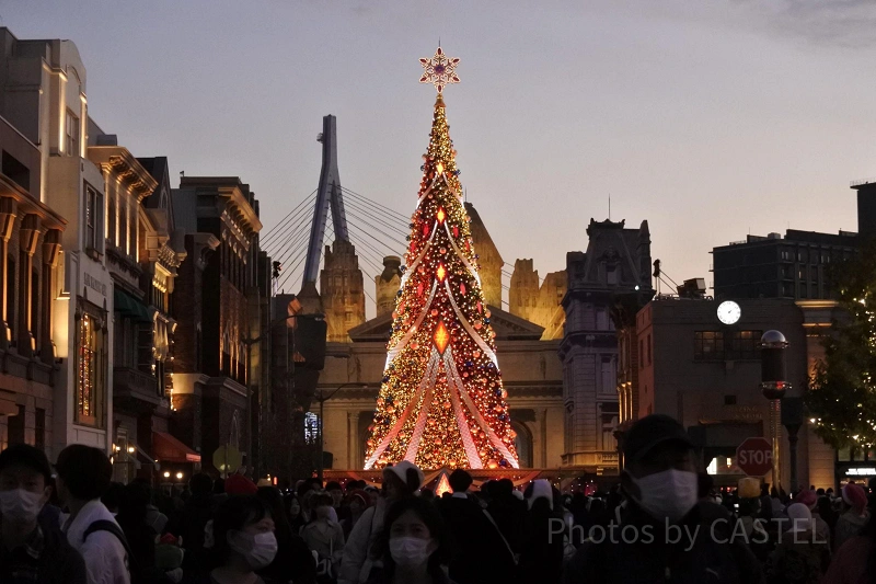 ユニバのクリスマスツリーがなくなる！？2024年が最後で見納め！終了
