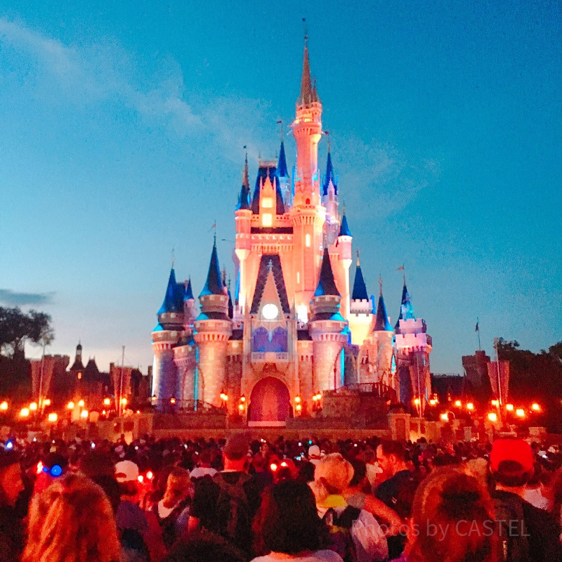 WDWおすすめショー＆パレード13選！マジックキングダムなど4パーク別