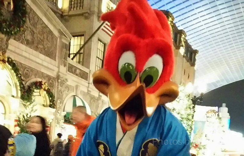 USJ】ウッディ・ウッドペッカーとは？プロフィール、会える場所
