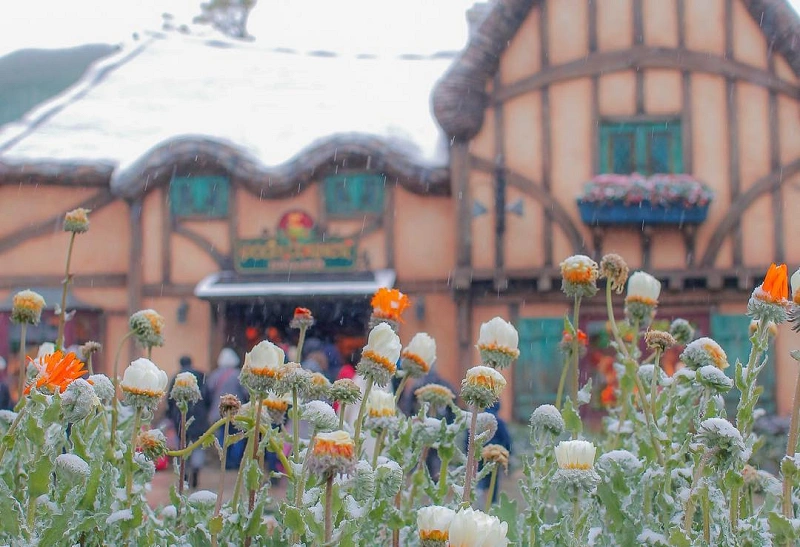 22最新 ディズニーチケットをローソンで購入する方法まとめ 種類 料金をチェック