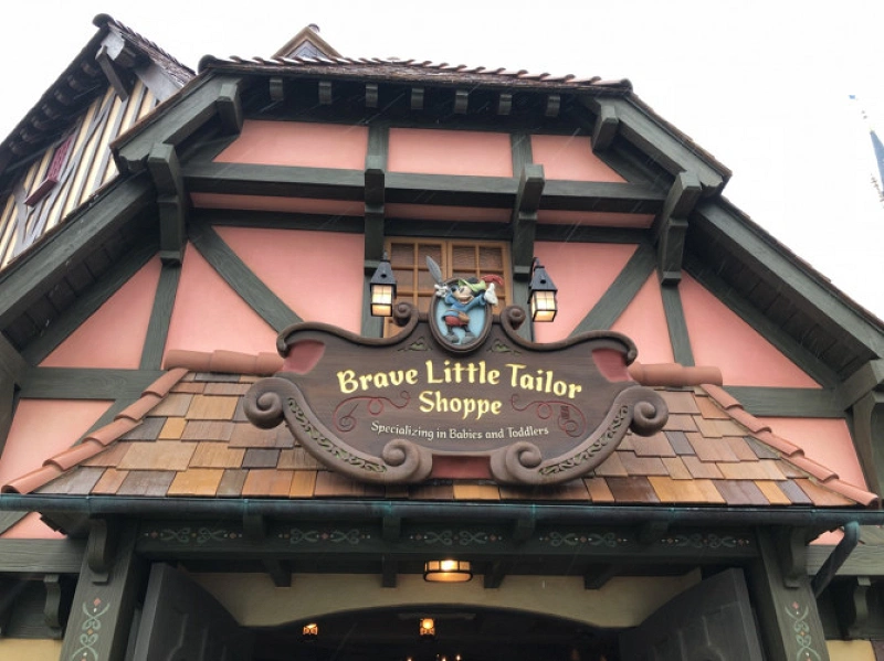 必読 妊娠中もディズニーで楽しもう 妊婦さんが知っておくべき10個のポイント