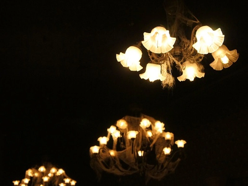 ホーンテッドマンションのキャスト 人気のコスチューム セリフについて解説