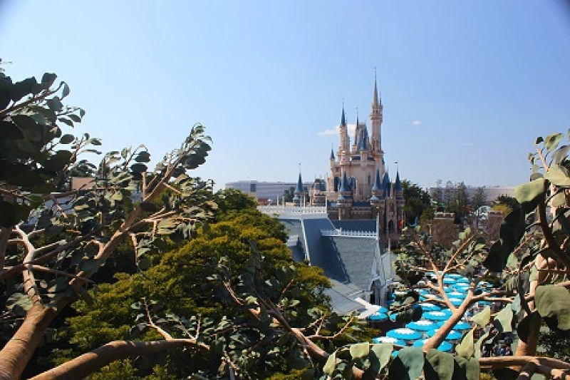 元キャストが明かすディズニー裏話 ゲストの皆さんに知って欲しいことも 元キャストが明かすディズニー裏話 ゲストの皆さんに知って欲しいことも