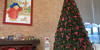 パディントンのクリスマスツリー| キャステル | CASTEL ディズニー情報