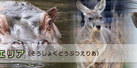 草食動物エリア| キャステル | CASTEL ディズニー情報