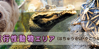 は虫類・夜行性動物エリア| キャステル | CASTEL ディズニー情報