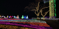 光の花畑| キャステル | CASTEL ディズニー情報