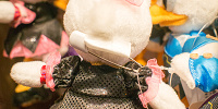 デイジーぬいぐるみバッジ　裏側| キャステル | CASTEL ディズニー情報