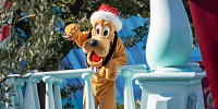 ミッキー＆フレンズのグリーティングパレード：ディズニー・クリスマス| キャステル | CASTEL ディズニー情報