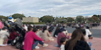 パレード待ちの様子／13:00頃| キャステル | CASTEL ディズニー情報