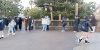 スパイシースモークチキンレッグの混雑状況／17:00| キャステル | CASTEL ディズニー情報
