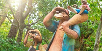 東京ディズニーランド・クリッターカントリー| キャステル | CASTEL ディズニー情報