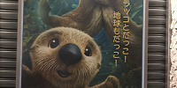 ファインディング・ドリーにも登場したキャラクターにもあえるかも！| キャステル | CASTEL ディズニー情報