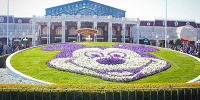 東京ディズニーランドのミッキー花壇| キャステル | CASTEL ディズニー情報