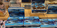 美ら海水族館OEMシャークチョコレート| キャステル | CASTEL ディズニー情報