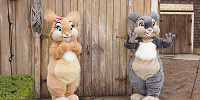 ミスバニーととんすけ| キャステル | CASTEL ディズニー情報