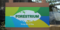 フォレストリウム| キャステル | CASTEL ディズニー情報