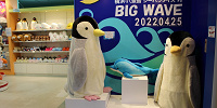 BIG WAVE| キャステル | CASTEL ディズニー情報