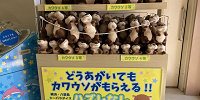 どうあがいてもカワウソがもらえる!!| キャステル | CASTEL ディズニー情報