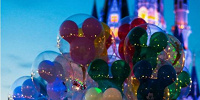 ディズニーのホスピタリティには誰もが感動！| キャステル | CASTEL ディズニー情報