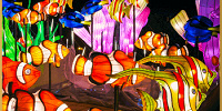 カクレクマノミ| キャステル | CASTEL ディズニー情報