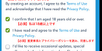 アカウントの個人情報を入力する（任意）2| キャステル | CASTEL ディズニー情報
