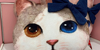 ハローキティリアル猫クッション| キャステル | CASTEL ディズニー情報